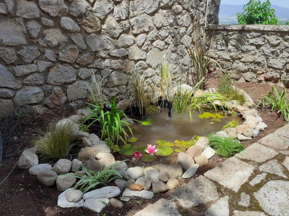 Agoriani Art Suite - 4 Seasons' Natural Living Lilaia Luaran gambar
